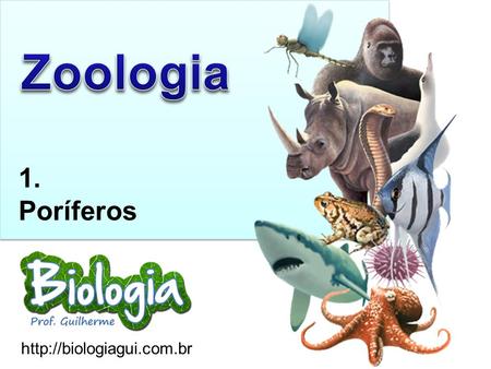 Zoologia 1. Poríferos http://biologiagui.com.br.