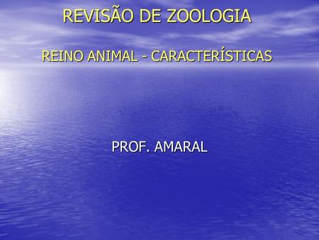 REVISÃO DE ZOOLOGIA REINO ANIMAL - CARACTERÍSTICAS