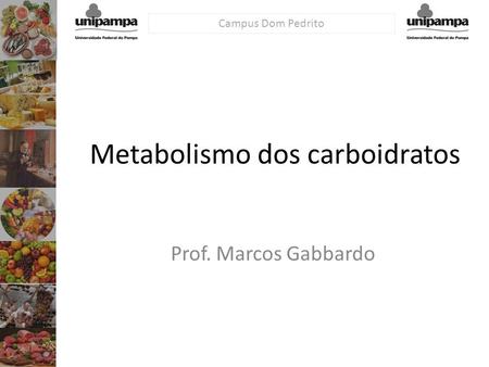 Metabolismo dos carboidratos
