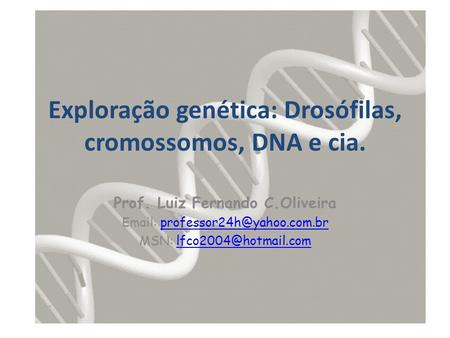 Exploração genética: Drosófilas, cromossomos, DNA e cia.