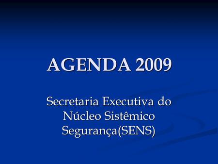 Secretaria Executiva do Núcleo Sistêmico Segurança(SENS)