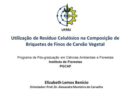 Elizabeth Lemos Benício