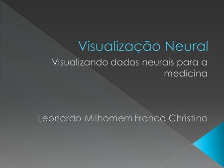 Visualização Neural Visualizando dados neurais para a medicina