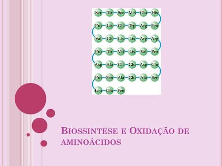 Biossintese e Oxidação de aminoácidos