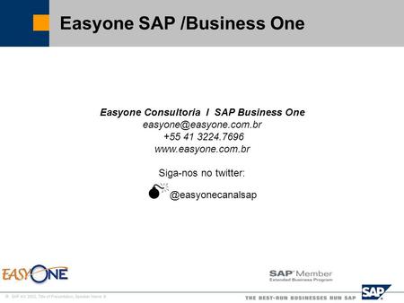 Easyone SAP /Business One