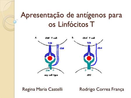 Apresentação de antígenos para os Linfócitos T