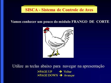 SISCA - Sistema de Controle de Aves