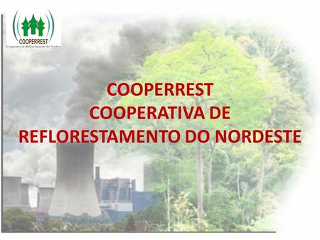 COOPERREST COOPERATIVA DE REFLORESTAMENTO DO NORDESTE