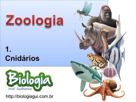 Zoologia 1. Cnidários http://biologiagui.com.br.