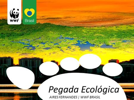 Pegada Ecológica AIRES FERNANDES | WWF BRASIL.