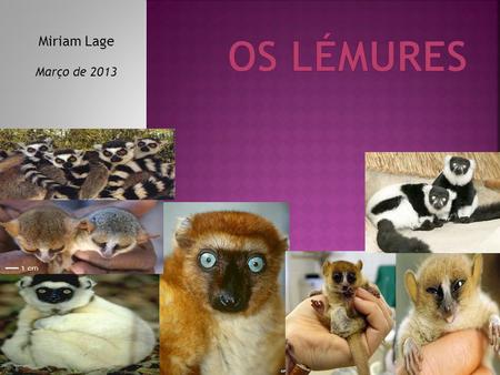 Os lémures Miriam Lage Março de 2013 ..