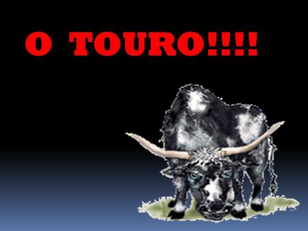 O TOURO!!!!.
