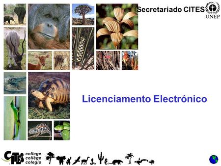 1 Licenciamento Electrónico Secretariado CITES. 2 Evolução e dinâmica do comércio Volume de Comércio Velocidade do Comércio Procedimentos do Comércio.
