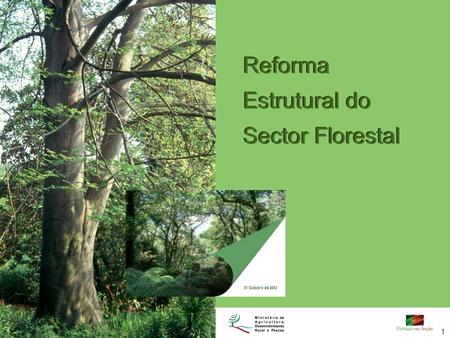 Reforma Estrutural do Sector Florestal
