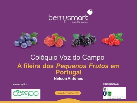 A fileira dos Pequenos Frutos em Portugal