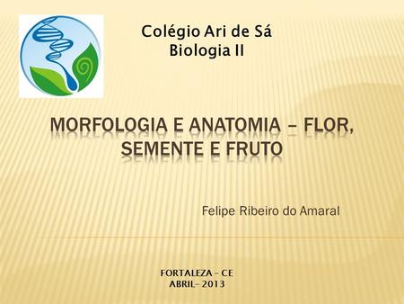 Morfologia e Anatomia – Flor, Semente e Fruto
