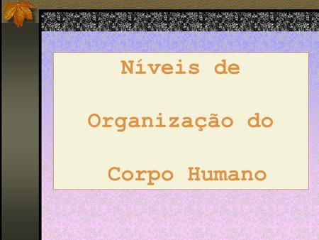 Níveis de Organização do Corpo Humano.