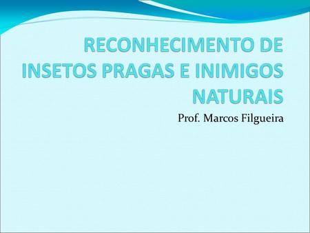 Prof. Marcos Filgueira.