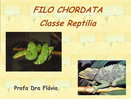 FILO CHORDATA Classe Reptilia