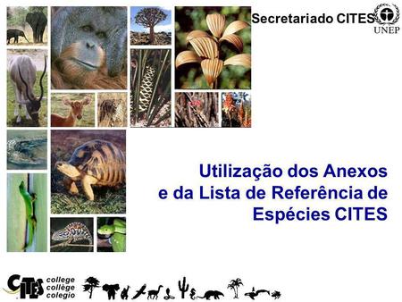 Utilização dos Anexos e da Lista de Referência de Espécies CITES