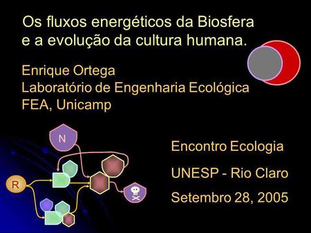 Os fluxos energéticos da Biosfera e a evolução da cultura humana.
