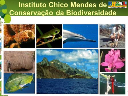 Instituto Chico Mendes de Conservação da Biodiversidade