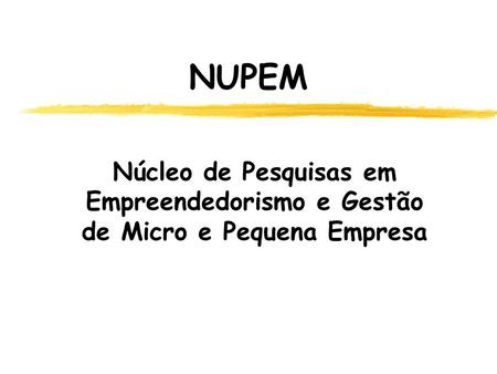 NUPEM Núcleo de Pesquisas em Empreendedorismo e Gestão de Micro e Pequena Empresa.