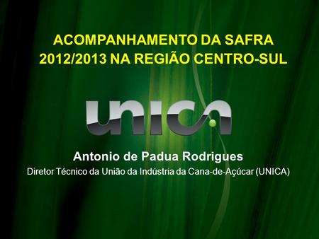 ACOMPANHAMENTO DA SAFRA 2012/2013 NA REGIÃO CENTRO-SUL Antonio de Padua Rodrigues Diretor Técnico da União da Indústria da Cana-de-Açúcar (UNICA)