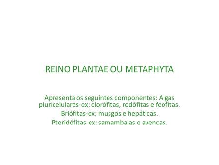 REINO PLANTAE OU METAPHYTA