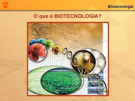 Biotecnologia O que é BIOTECNOLOGIA?.