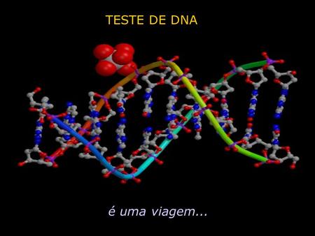 TESTE DE DNA é uma viagem....