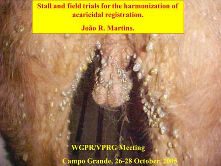 Stall and field trials for the harmonization of acaricidal registration. João R. Martins. WGPR/VPRG Meeting Campo Grande, 26-28 October, 2005.