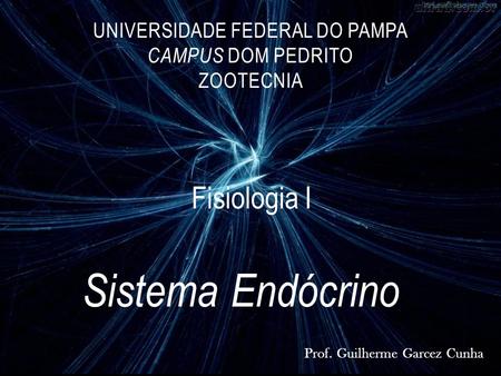 Universidade Federal do Pampa Campus Dom Pedrito Zootecnia