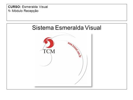 CURSO: Esmeralda Visual 1- Módulo Recepção