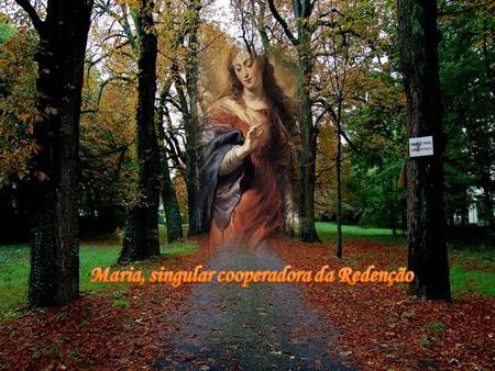 Maria, singular cooperadora da Redenção