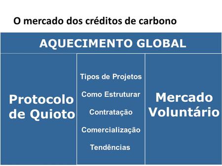 O mercado dos créditos de carbono
