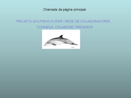 Chamada da página principal: PROJETO GOLFINHO-FLÍPER / REDE DE COLABORADORES CONHEÇA, COLABORE, PRESERVE.