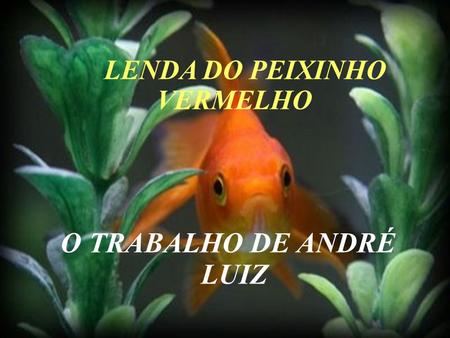 LENDA DO PEIXINHO VERMELHO O TRABALHO DE ANDRÉ LUIZ
