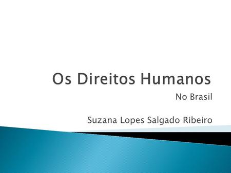 No Brasil Suzana Lopes Salgado Ribeiro