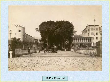 1850 - Funchal.