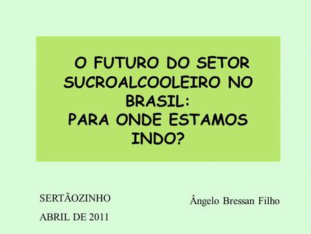 O FUTURO DO SETOR SUCROALCOOLEIRO NO BRASIL: PARA ONDE ESTAMOS INDO?