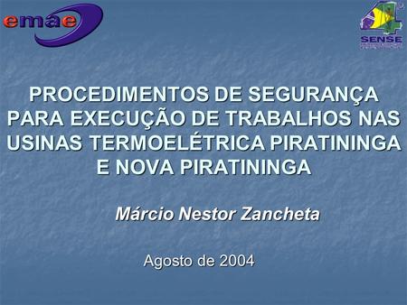 PROCEDIMENTOS DE SEGURANÇA PARA EXECUÇÃO DE TRABALHOS NAS USINAS TERMOELÉTRICA PIRATININGA E NOVA PIRATININGA Márcio Nestor Zancheta Agosto de 2004.