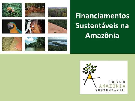 Financiamentos Sustentáveis na Amazônia