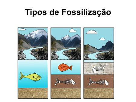 Tipos de Fossilização.