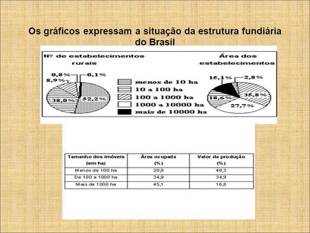 Os gráficos expressam a situação da estrutura fundiária do Brasil