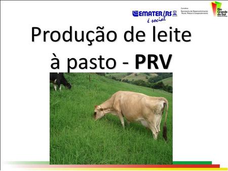 Produção de leite à pasto - PRV