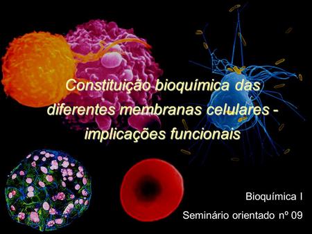 Constituição bioquímica das diferentes membranas celulares - implicações funcionais Bioquímica I Seminário orientado nº 09.