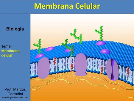 Membrana Celular Biologia Tema: Membrana celular