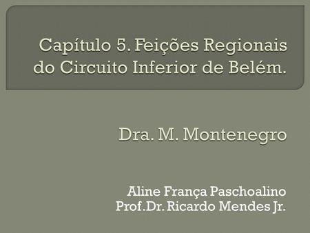 Aline França Paschoalino Prof.Dr. Ricardo Mendes Jr.