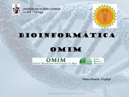 Bioengenharia – Bioinformática 2011/2012